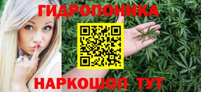 дживик Новозыбков