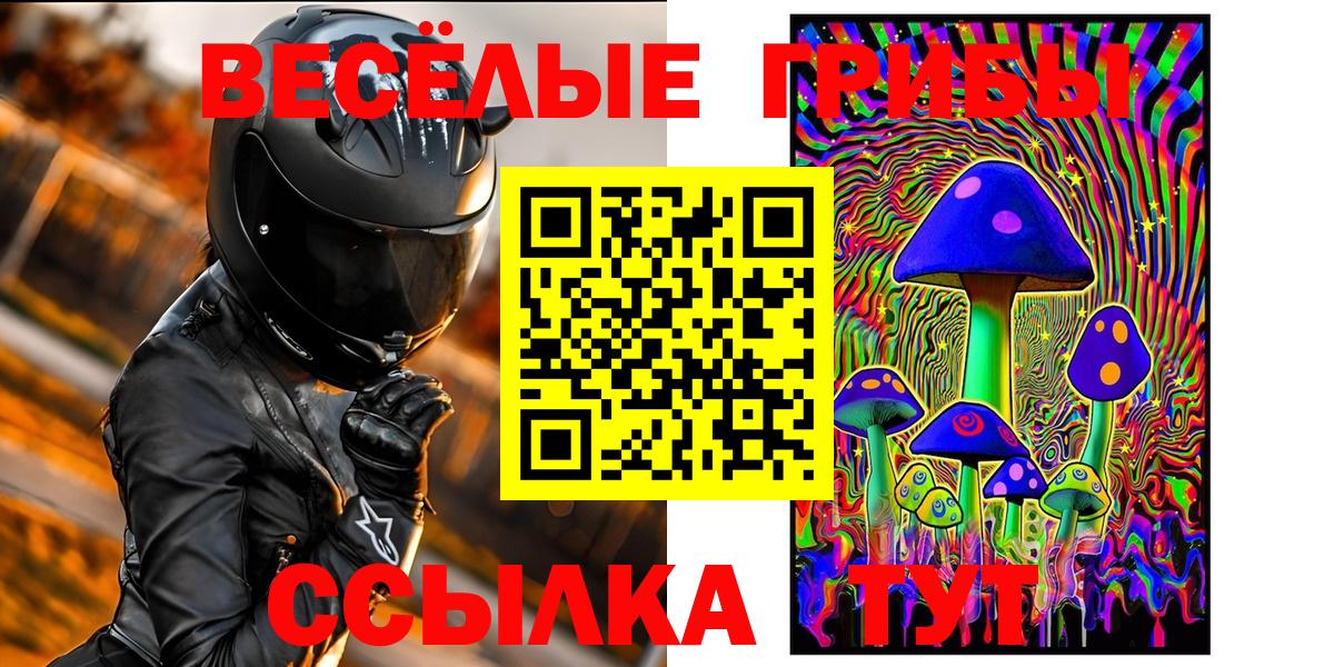Тихорецк  Псилоцибиновые грибы Psilocybe  Галлюциногенные грибы Psilocybe  Вход с VPN 